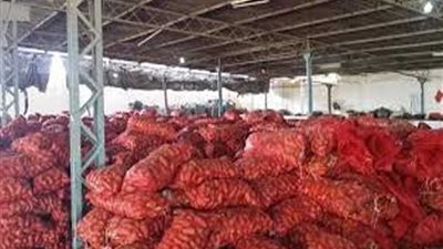 ضبط 942 طن بطاطس مخزنة بطلخا
