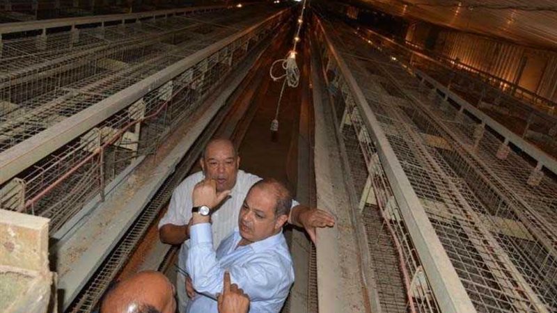 السعيد يستجيب لـبوابة