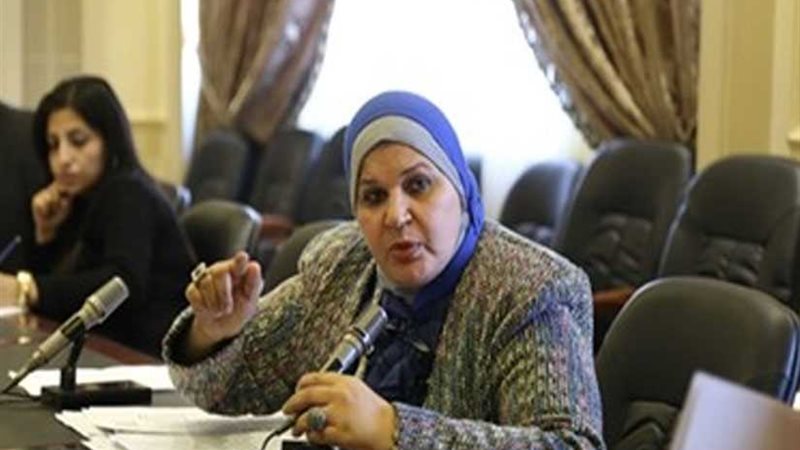 وكيل لجنة القوى العاملة: