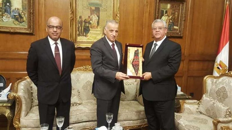 رئيس الدستورية العليا