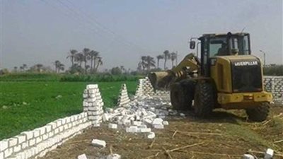 إزالة 15 حالة تعد على الأرض الزراعية بدمشير بالمنيا