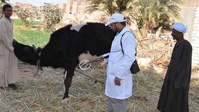 ندوات للتوعية بأمراض أنفلونزا الطيور والحمى القلاعية بقرى البحيرة