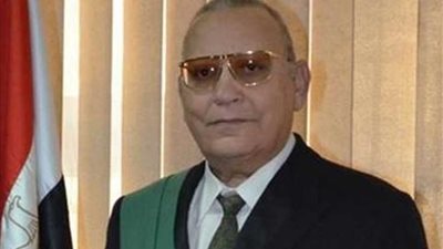 وزير العدل يقرر نقل دائرتين بالقاهرة والجيزة إلى وادي النطرون