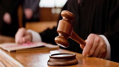 تأجيل الطعن على بطلان قرارات التحفظ على أموال ابنة علاء صادق لـ١٢ يناير