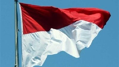 إندونيسيا تنفي صحة صورة متداولة لطفل ناجٍ من تحطم الطائرة الإندونيسية