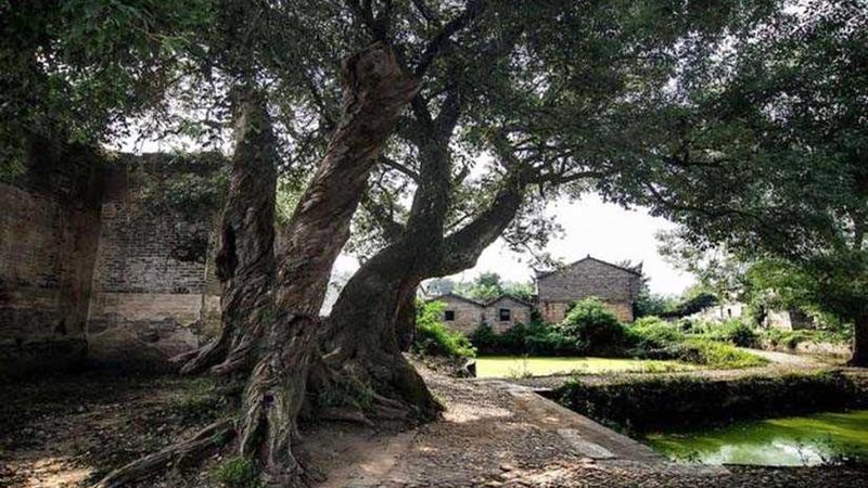 اكتشاف موقع منازل