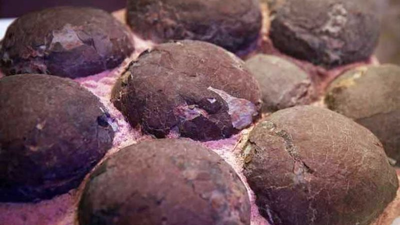 اكتشاف علمي مثير