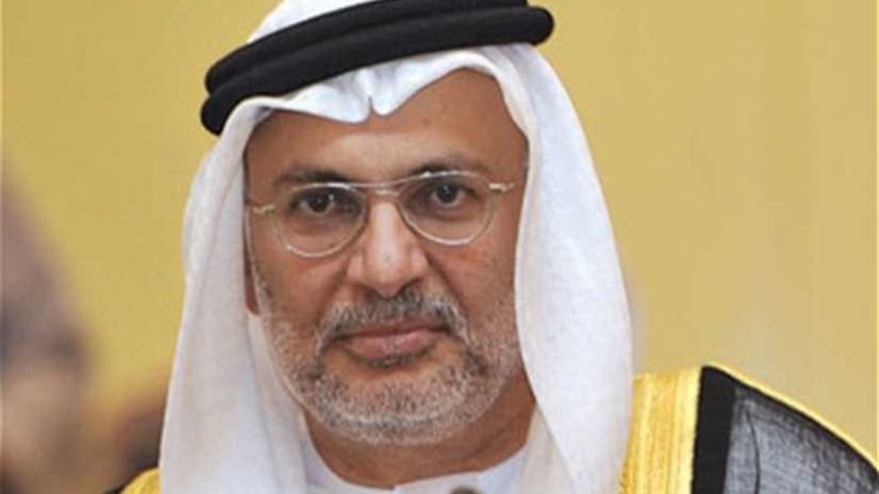 وزير الدولة الإماراتي