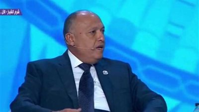 سامح شكري بمنتدى الشباب: مصر لا تتدخل في شئون الدول المحيطة