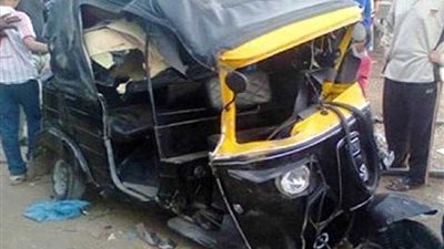 مصرع شخص وإصابة آخر بعد سقوط شجرة على توك توك بالمنصورة