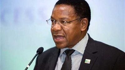 وزير الخارجية التنزاني يدعو الشركات للاستفادة من الخبرات المصرية في القطاعات المختلفة