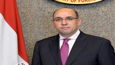 المتحدث الرسمى باسم الخارجية يشيد بدور الإعلام الداعم للدبلوماسية المصرية