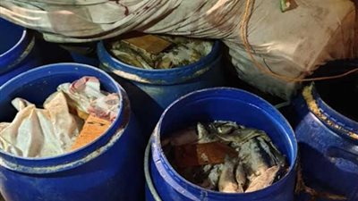 ضبط 122 برميل فسيخ فاسد و5 كلاب مذبوحة بشبرا الخيمة (صور)