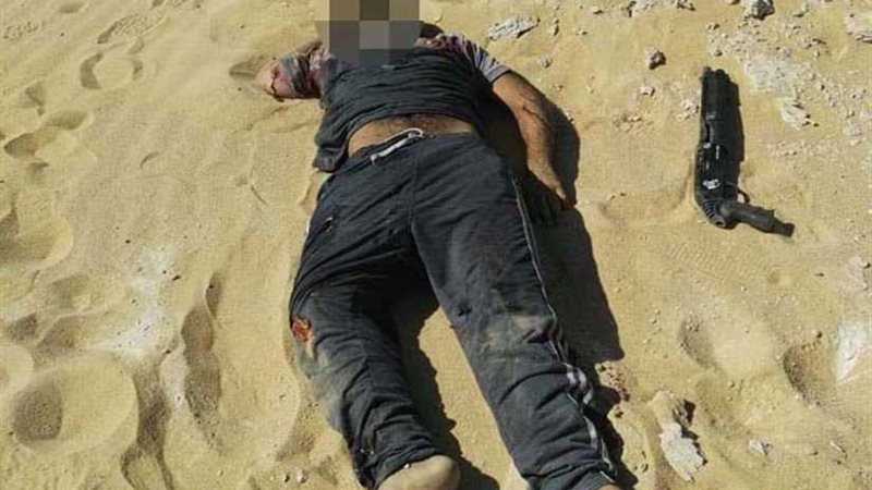 الداخلية: مصرع 19