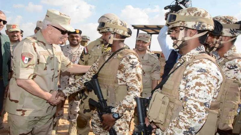 رئيس الأركان يتفقد