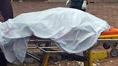 وفاة تلميذ صدمته سيارة بالمنيا