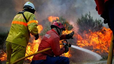 ارتفاع حصيلة ضحايا الحرائق في كاليفورنيا إلى 23 قتيلاً