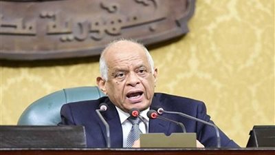 رئيس النواب: جهة وحيدة مشرفة على أملاك الدولة