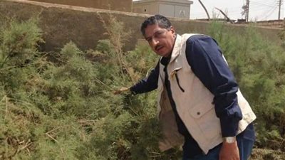 مشروع لتحويل الصحراء جنة خضراء