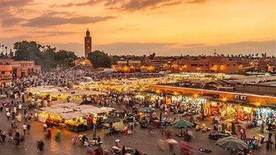 وفاة شخص بداء الكلب ..عضته 