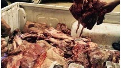 إعدام 85 كيلو لحوم خلال حملة بالمنزلة