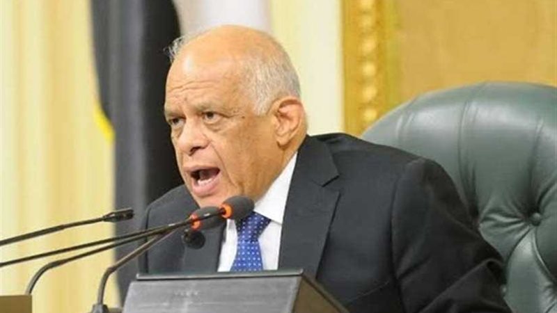 مجلس النواب يفوض