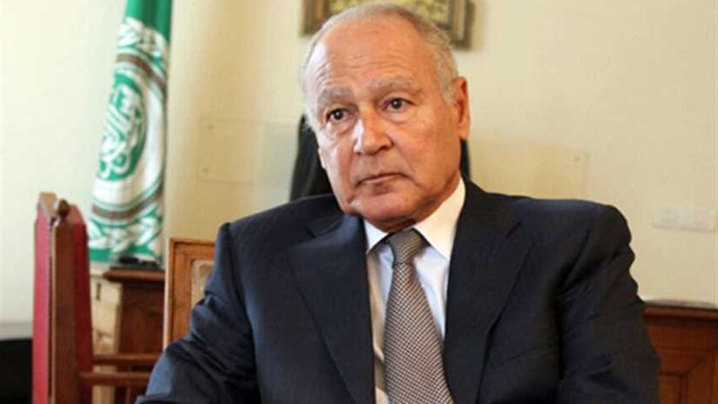 ابوالغيط يؤكد أهمية