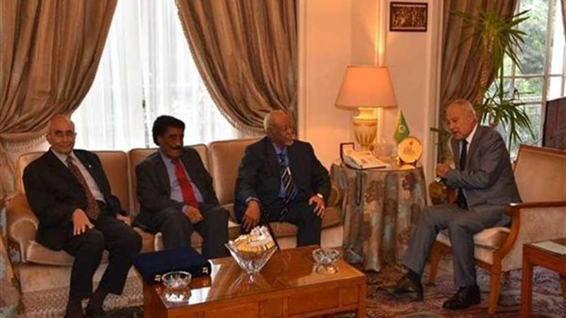 ابوالغيط يؤكد أهمية