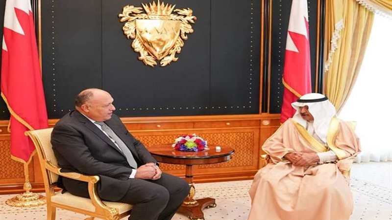 سامح شكري: زيارتي