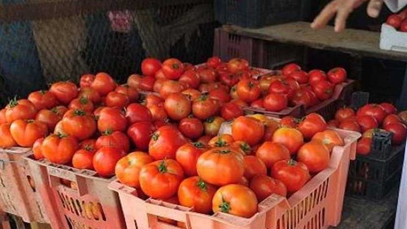 خبير: عدم وجود إدارة