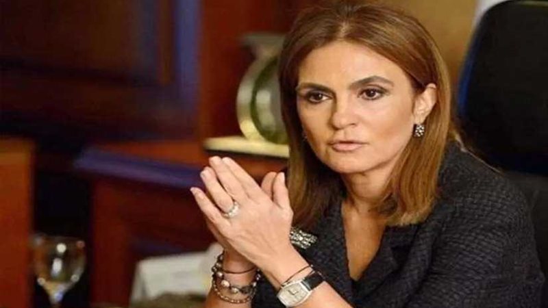 فرغلي: ريادة الأعمال