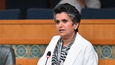 دعوى لإدراج صفاء الهاشم على قوائم الممنوعين من دخول مصر