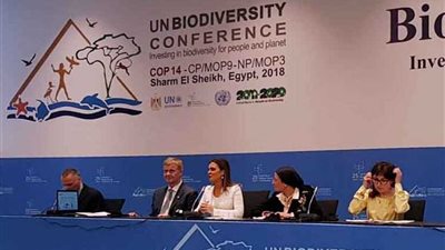 مصر تعرض الفرص الاستثمارية في المشروعات صديقة البيئة