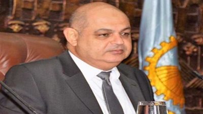 السعيد يشدد على حملات مقاومة الكلاب الضالة بالغربية