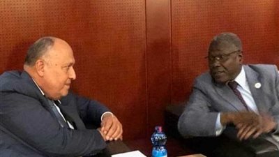 شكري يلتقي وزير خارجية النيجر على هامش الاجتماعات التمهيدية للقمة الأفريقية الاستثنائية