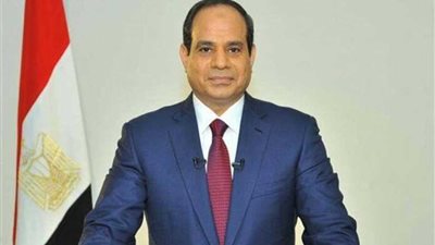 إشادة عربية بجهود مصر لوقف إطلاق النار في غزة