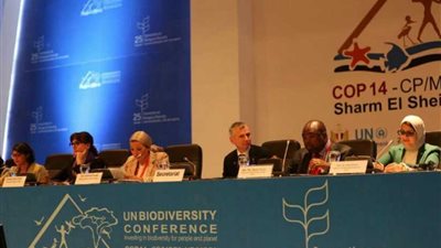 وزيرة البيئة تعلن اعتماد إعلان شرم الشيخ للاستثمار في التنوع البيولوجي