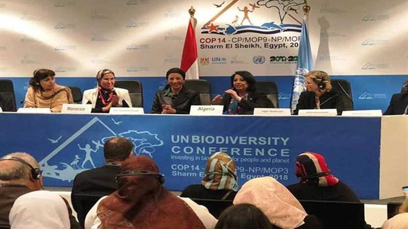 النساء تقود العالم