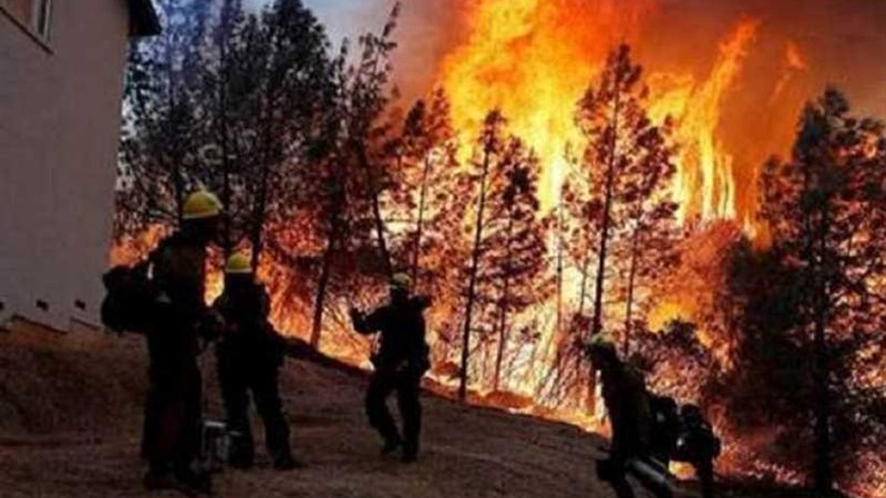 ارتفاع حصيلة ضحايا