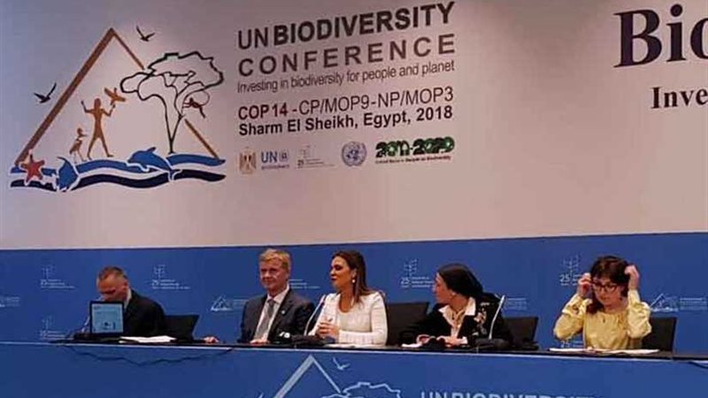 مصر تعرض الفرص الاستثمارية