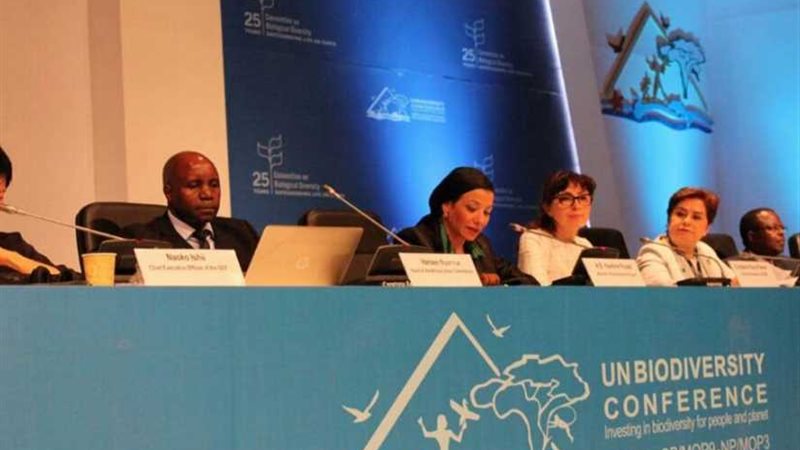 وزيرة البيئة: أفريقيا