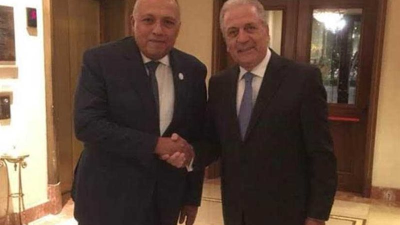 شكري يلتقي مع مفوض