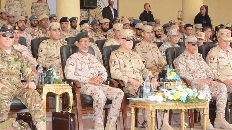 الفريق محمد فريد