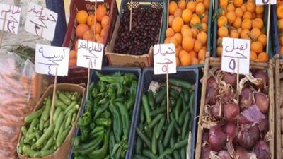 أسعار السلع الغذائية بين الواقع وتحديات الرقعة الزراعية والزيادة السكانية بصالون 