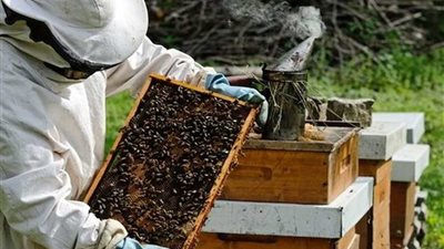 قرار وزاري يفتح الباب أمام الشباب لتنمية الريف المصري