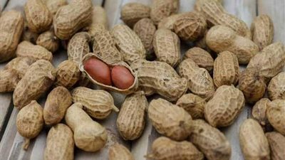 علاج جديد للتغلب على حساسية الفول السوداني