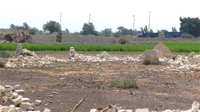 المنوفية تستعيد 746 فدانا من مافيا تقسيم الأراضي الزراعية