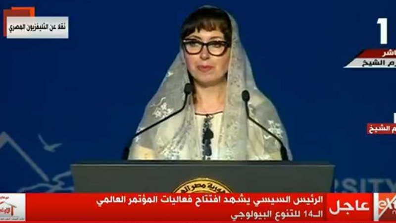 بالمر تتزين بوشاح