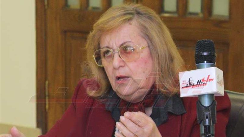 بسنت فهمي: هناك تشويه