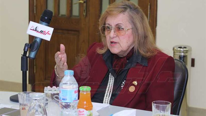 فهمي: ما حدث في أزمة